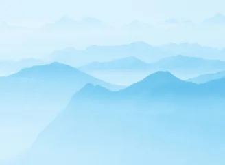 金年会